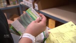 Why the pandemic is sparking so many first-time gardeners News Clip