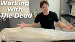 Exploring the Oldest and Youngest Body in Our Anatomy Lab: Surprises and Discoveries Instructional Video