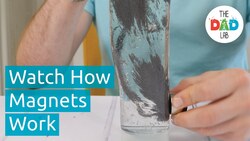 Science Experiment: Magnetic Field Instructional Video
