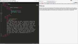 The Full Stack Web Development - Basic Styling - Project on Basic CSS Instructional Video
