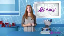 The Amazing Flag Raiser! | Solving Problems with Engineering | SciShow Kids Instructional Video