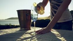 How to Appreciate Wine Instructional Video