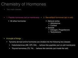 Endocrine system overview Instructional Video