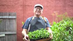 Portrait of Farmer Showing Plants Stock Footage