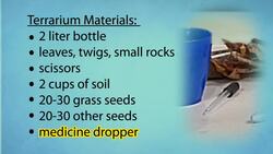 My Miniature Ecosystem Instructional Video