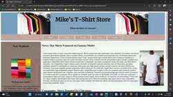 The Art of Doing - Web Development for Beginners - Final Project Preview Instructional Video