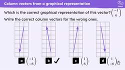 Column vectors Instructional Video