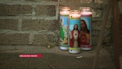 NYPD identifies 2 killed in apparent murder-suicide in Park Slope News Clip