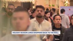 Shoppers kicked off the holiday season with a large Black Friday turnout News Clip