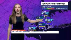 WIND ALERT: Breezy winds under sunny skies for Friday in The Bronx; chance of weekend snow News Clip