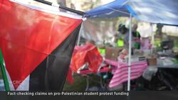 Fact-checking claims about who's behind pro-Palestinian student protests News Clip
