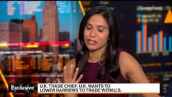 U.K. Trade Chief Pursuing Trade Pacts With U.S. States News Clip