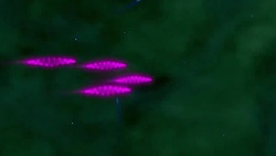 NASA | Fermi Explores the Early Universe Instructional Video