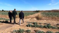 CLEAN : Drought and overpumping mean Morocco river no longer reaches sea News Clip