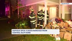 SPCA: 5 dogs removed from Central Islip home News Clip