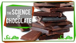 The Science of Chocolate Instructional Video