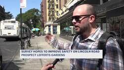 'It's just total chaos here.' Survey looks to improve safety on block of Lincoln Road News Clip