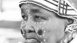 Nelson Mandela: The Roots of a Revolutionary Instructional Video