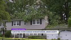Downed trees in New Jersey lead to injuries, intensive damage to homes News Clip