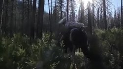 Glacier National Park - Viewshed Instructional Video