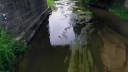 Drone over small river - Stock Video Stock Footage