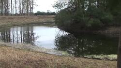 How to Make a Solar Still Instructional Video