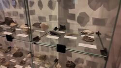 Road Trip Close to Home: Southeast Museum showcases Brewster's rich history News Clip