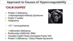 "Excessive Clotting" (HYPERCOAGULATION) | Virchow’s Triad | Causes of Venous and Arterial Thrombosis Instructional Video
