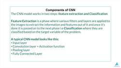 Python for Deep Learning - Build Neural Networks in Python - Components of Convolutional Neural Networks Instructional Video