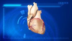 Genetically modified pig heart transplanted into human patient for first time ever Instructional Video