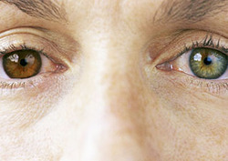 Alelo Instructional Video