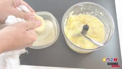 What Do Enzymes in Pineapple Juice Do to Milk? Instructional Video