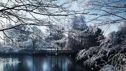 Winter Season Background Animation Stock Footage