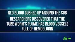 This Worm's Gut Has No Way In or Out Instructional Video