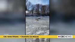 Dramatic Ice Rescue News Clip
