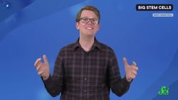 The Bigger Stem Cells Are, the Harder They Fall Instructional Video