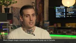 Illegal magic mushroom shops keep popping up in Canada News Clip