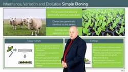 Simple Applications of Cloning: Plant Propagation Techniques Instructional Video