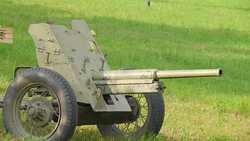 A small cannon on the grassy lawn in Valga Estonia Stock Footage