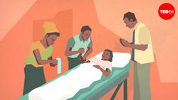 TED-Ed: The epidemics that almost happened | George Zaidan Instructional Video