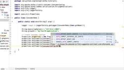 Java Consumer Instructional Video