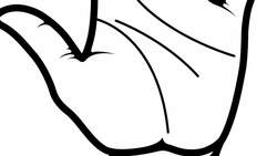 Why Do We Have Lines On Our Palms? Instructional Video