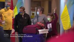 Ukrainians land in N.L. seeking shelter from war News Clip