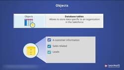 Salesforce Platform App Builder Certification Training - Standard and Custom Objects Instructional Video