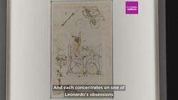 US capital hosts 12 'beautiful, glowing' Leonardo da Vinci sketches for the first time News Clip