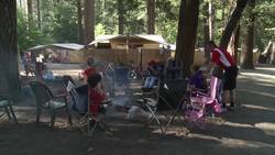 Yosemite Nature Notes 26: Black Bears Instructional Video