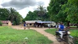 CLEAN : The fight against extinction for pangolins in Liberia News Clip