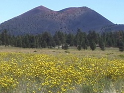 Cambios en la Tierra: montañas en construcción Instructional Video