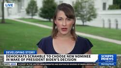 Harris campaign credits 'small-dollar donors' for massive fundraising haul News Clip