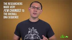 What Happens If You Fuse All Your Chromosomes? | SciShow News Instructional Video